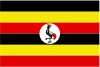 DStv Now, Ouganda  en direct