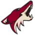 Arizona Coyotes